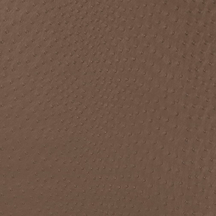 V594 Mink by Charlotte Designer Fabric Exotics II 100% Vinyl Asia Exceeds 200,000 Wyzenbeek Rubs (Heavy Duty) </p><p>Repeat: 54 Inches - Swanky Fabrics -