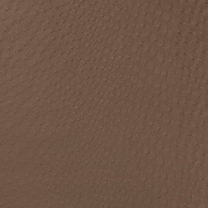 V594 Mink by Charlotte Designer Fabric