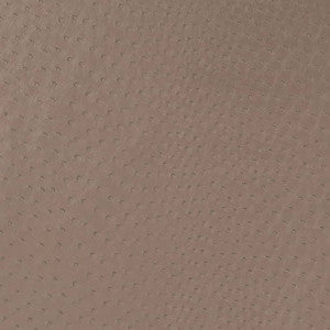 V595 Mocha by Charlotte Designer Fabric