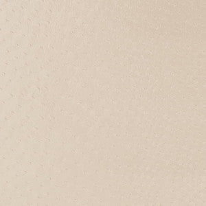 V596 Parchment by Charlotte Designer Fabric