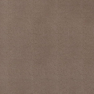V598 Hazelnut by Charlotte Designer Fabric