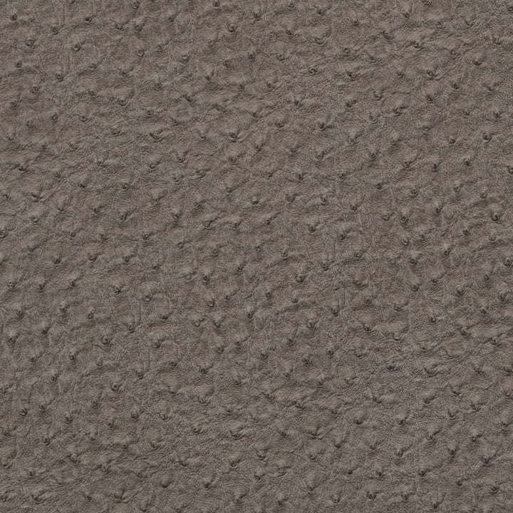 V617 Pewter by Charlotte Designer Fabric Exotics II 100% Polyurethane (Pvc/Lead Free), 34oz. Asia Exceeds 200,000 Wyzenbeek Rubs (Heavy Duty) </p><p>Repeat: 54 Inches - Swanky Fabrics -