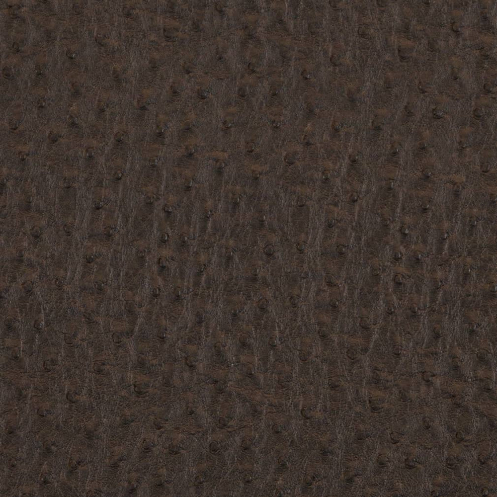 V619 Bark by Charlotte Designer Fabric Exotics II 100% Vinyl, 34oz. Asia Exceeds 200,000 Wyzenbeek Rubs (Heavy Duty) </p><p>Repeat: 54 Inches - Swanky Fabrics -