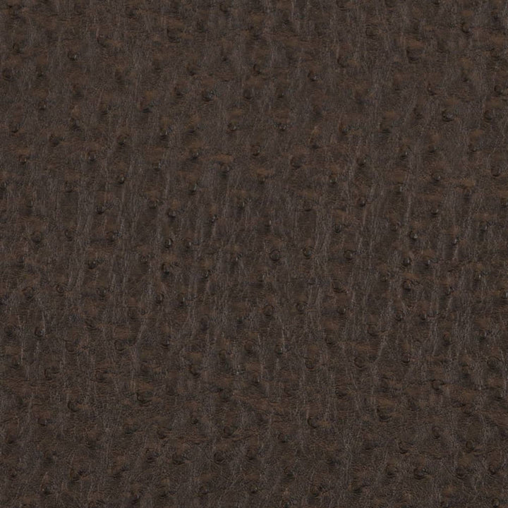 V619 Bark by Charlotte Designer Fabric Exotics II 100% Vinyl, 34oz. Asia Exceeds 200,000 Wyzenbeek Rubs (Heavy Duty) </p><p>Repeat: 54 Inches - Swanky Fabrics -