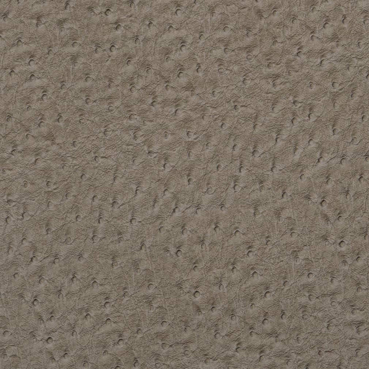 V622 Pewter by Charlotte Designer Fabric Exotics II 100% Vinyl, 34oz. Asia Exceeds 200,000 Wyzenbeek Rubs (Heavy Duty) </p><p>Repeat: 54 Inches - Swanky Fabrics -