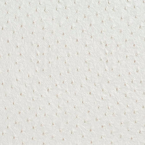 V623 Cream by Charlotte Designer Fabric