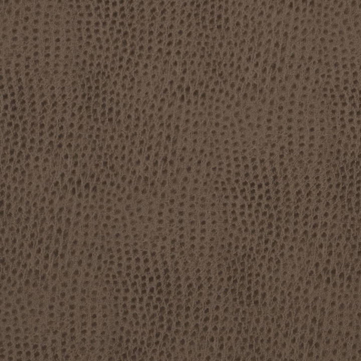 V624 Cobblestone by Charlotte Designer Fabric Exotics II 100% Vinyl, 34oz. Asia Exceeds 200,000 Wyzenbeek Rubs (Heavy Duty) </p><p>Repeat: 54 Inches - Swanky Fabrics -