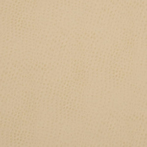 V626 Parchment by Charlotte Designer Fabric