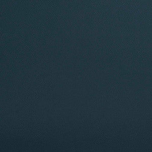 V640 Indigo by Charlotte Designer Fabric