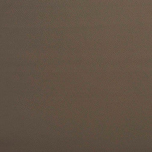 V642 Stone by Charlotte Designer Fabric