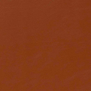 V643 Saddle by Charlotte Designer Fabric