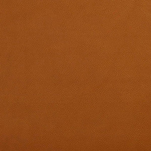 V644 Palomino by Charlotte Designer Fabric