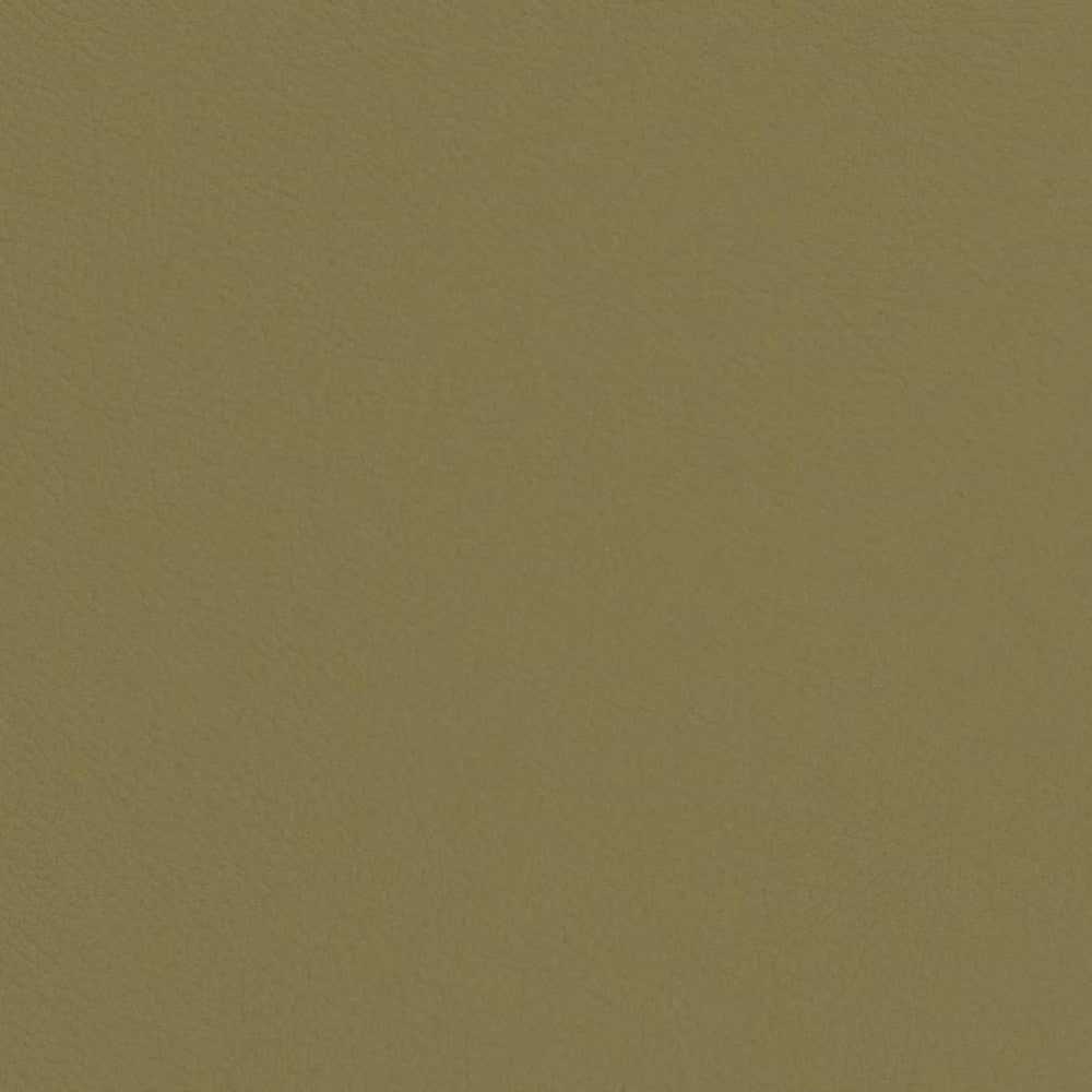 V660 Sage by Charlotte Designer Fabric Defender Face: 100% PVC, Back: Polyester knit backing, 28oz Thailand Exceeds 2,000,000 Wyzenbeek Double Rubs (Heavy Duty) </p><p>Repeat: 54 Inches - Swanky Fabrics -