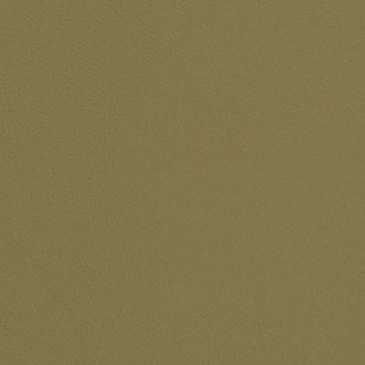 V660 Sage by Charlotte Designer Fabric Defender Face: 100% PVC, Back: Polyester knit backing, 28oz Thailand Exceeds 2,000,000 Wyzenbeek Double Rubs (Heavy Duty) </p><p>Repeat: 54 Inches - Swanky Fabrics -