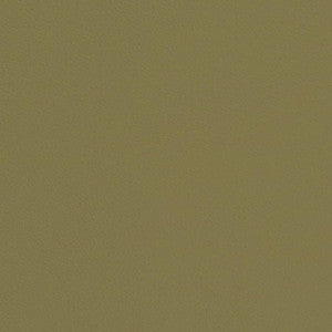 V660 Sage by Charlotte Designer Fabric