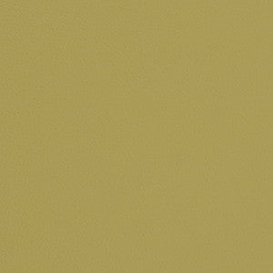 V668 Pear by Charlotte Designer Fabric