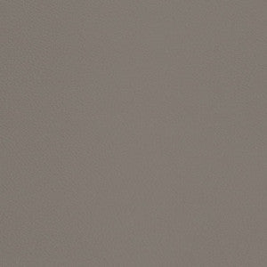 V669 Pewter by Charlotte Designer Fabric