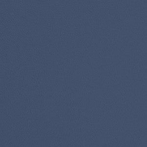 V670 Denim by Charlotte Designer Fabric