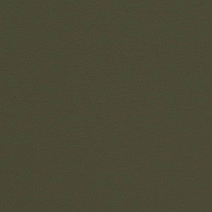 V680 Moss by Charlotte Designer Fabric