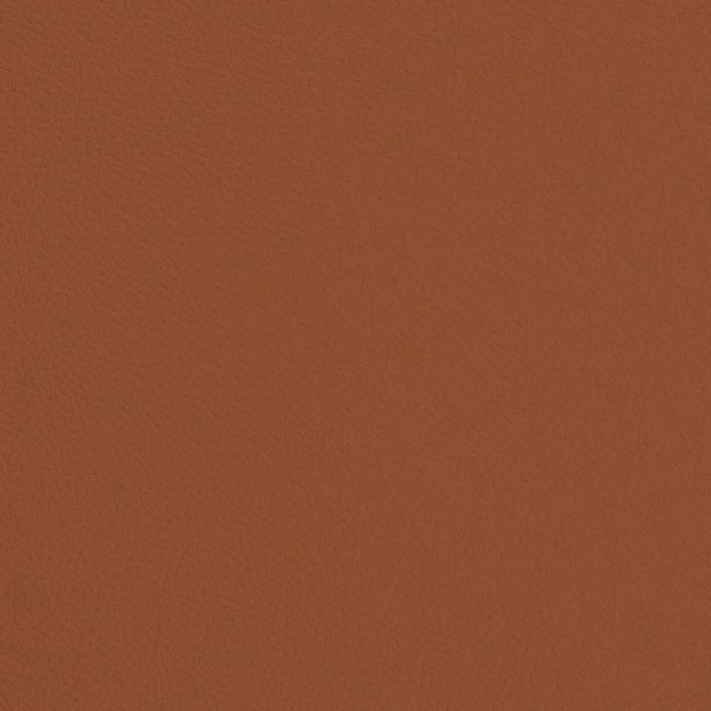 V685 Rust by Charlotte Designer Fabric Defender Face: 100% PVC, Back: Polyester knit backing, 28oz Thailand Exceeds 2,000,000 Wyzenbeek Double Rubs (Heavy Duty) </p><p>Repeat: 54 Inches - Swanky Fabrics -