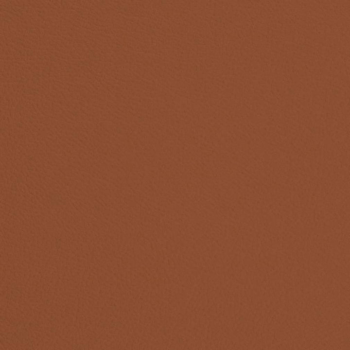 V685 Rust by Charlotte Designer Fabric Defender Face: 100% PVC, Back: Polyester knit backing, 28oz Thailand Exceeds 2,000,000 Wyzenbeek Double Rubs (Heavy Duty) </p><p>Repeat: 54 Inches - Swanky Fabrics -
