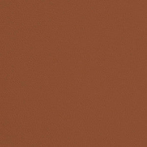 V685 Rust by Charlotte Designer Fabric