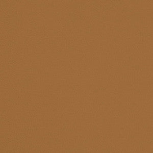 V696 Butterscotch by Charlotte Designer Fabric