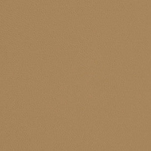 V697 Khaki by Charlotte Designer Fabric