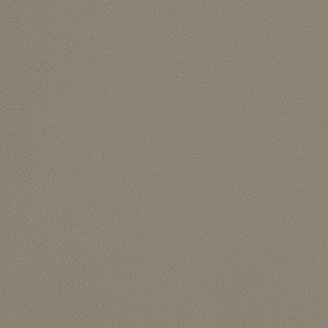 V701 Stone by Charlotte Designer Fabric