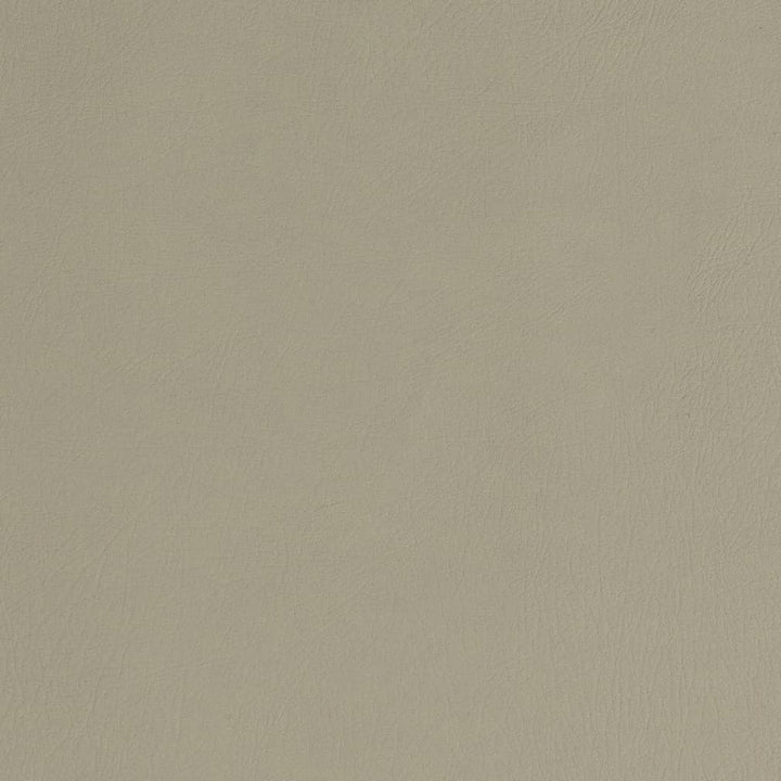 V753 Stone by Charlotte Designer Fabric Decorative Vinyl II 55% PVC, 40% Polyester, 5% Polyurethane Asia Exceeds 100,000 Wyzenbeek Rubs (Heavy Duty) </p><p>Repeat: 54 Inches - Swanky Fabrics -