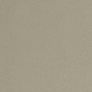 V753 Stone by Charlotte Designer Fabric