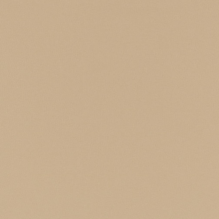 V780 Taupe by Charlotte Designer Fabric Value Vinyl III 22oz, Face: 100% Polyurethane, Back: 70% Polyester, 30% Cotton Asia Exceeds 40,0000 Wyzenbeek Rubs (Heavy Duty) </p><p>Repeat: No Repeat 54 Inches - Swanky Fabrics -