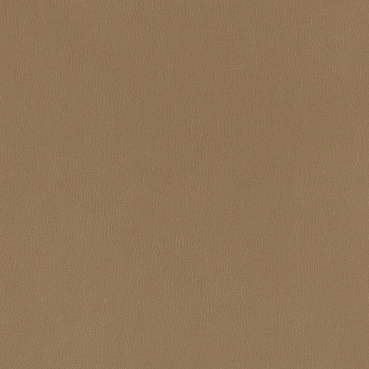 V782 Hazelnut by Charlotte Designer Fabric Value Vinyl III 22oz, Face: 100% Polyurethane, Back: 70% Polyester, 30% Cotton Asia Exceeds 40,0000 Wyzenbeek Rubs (Heavy Duty) </p><p>Repeat: No Repeat 54 Inches - Swanky Fabrics -