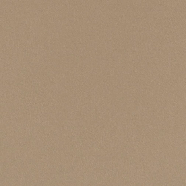 V784 Pewter by Charlotte Designer Fabric Value Vinyl III 22oz, Face: 100% Polyurethane, Back: 70% Polyester, 30% Cotton Asia Exceeds 40,0000 Wyzenbeek Rubs (Heavy Duty) </p><p>Repeat: No Repeat 54 Inches - Swanky Fabrics -