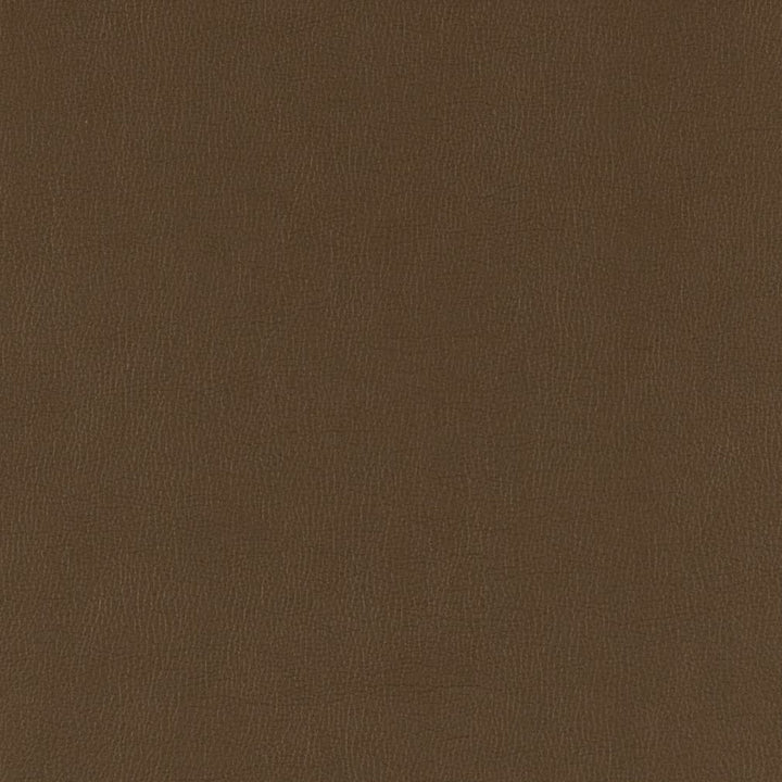 V785 Java by Charlotte Designer Fabric Value Vinyl III 22oz, Face: 100% Polyurethane, Back: 70% Polyester, 30% Cotton Asia Exceeds 40,0000 Wyzenbeek Rubs (Heavy Duty) </p><p>Repeat: No Repeat 54 Inches - Swanky Fabrics -