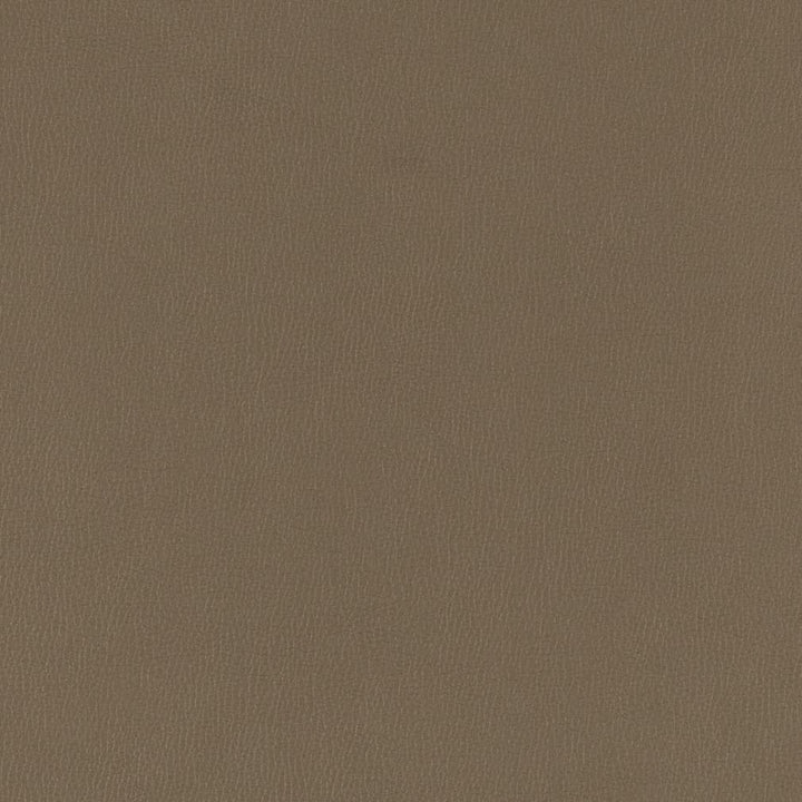 V786 Iron by Charlotte Designer Fabric Value Vinyl III 22oz, Face: 100% Polyurethane, Back: 70% Polyester, 30% Cotton Asia Exceeds 40,0000 Wyzenbeek Rubs (Heavy Duty) </p><p>Repeat: No Repeat 54 Inches - Swanky Fabrics -