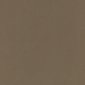 V786 Iron by Charlotte Designer Fabric