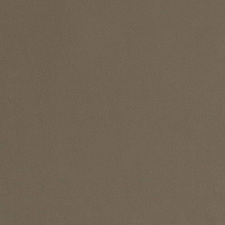 V787 Ash by Charlotte Designer Fabric Value Vinyl III 22oz, Face: 100% Polyurethane, Back: 70% Polyester, 30% Cotton Asia Exceeds 40,0000 Wyzenbeek Rubs (Heavy Duty) </p><p>Repeat: No Repeat 54 Inches - Swanky Fabrics -