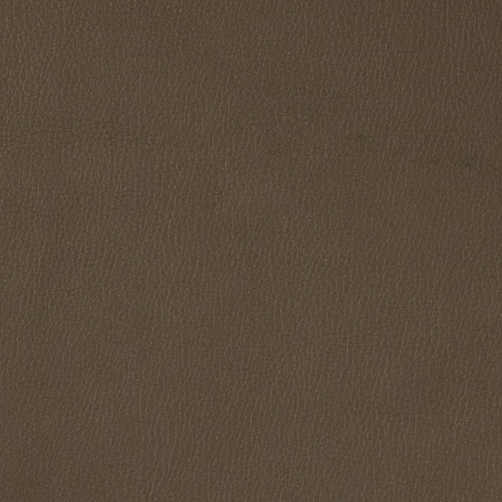 V788 Graphite by Charlotte Designer Fabric Value Vinyl III 22oz, Face: 100% Polyurethane, Back: 70% Polyester, 30% Cotton Asia Exceeds 40,0000 Wyzenbeek Rubs (Heavy Duty) </p><p>Repeat: No Repeat 54 Inches - Swanky Fabrics -