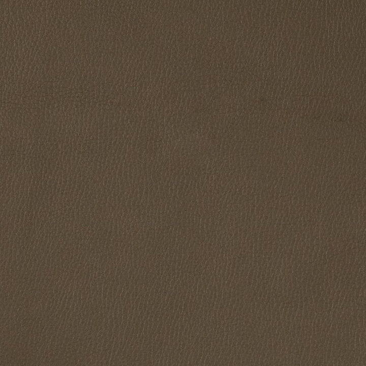 V788 Graphite by Charlotte Designer Fabric Value Vinyl III 22oz, Face: 100% Polyurethane, Back: 70% Polyester, 30% Cotton Asia Exceeds 40,0000 Wyzenbeek Rubs (Heavy Duty) </p><p>Repeat: No Repeat 54 Inches - Swanky Fabrics -