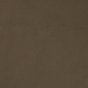 V788 Graphite by Charlotte Designer Fabric