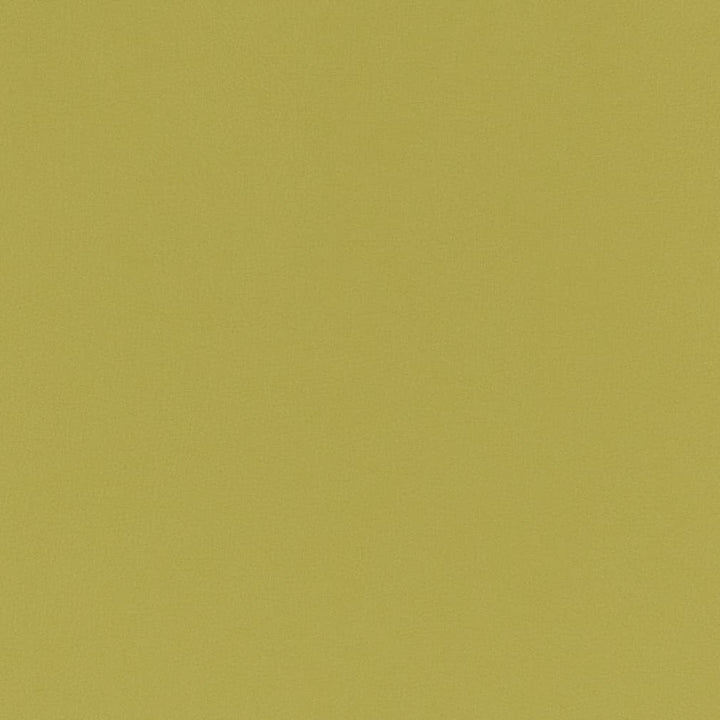 V789 Spring by Charlotte Designer Fabric Value Vinyl III 22oz, Face: 100% Polyurethane, Back: 70% Polyester, 30% Cotton Asia Exceeds 40,0000 Wyzenbeek Rubs (Heavy Duty) </p><p>Repeat: No Repeat 54 Inches - Swanky Fabrics -