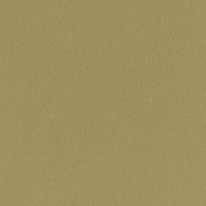 V790 Moss by Charlotte Designer Fabric Value Vinyl III 22oz, Face: 100% Polyurethane, Back: 70% Polyester, 30% Cotton Asia Exceeds 40,0000 Wyzenbeek Rubs (Heavy Duty) </p><p>Repeat: No Repeat 54 Inches - Swanky Fabrics -