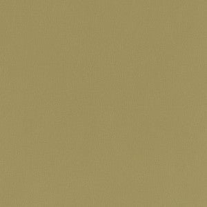 V790 Moss by Charlotte Designer Fabric