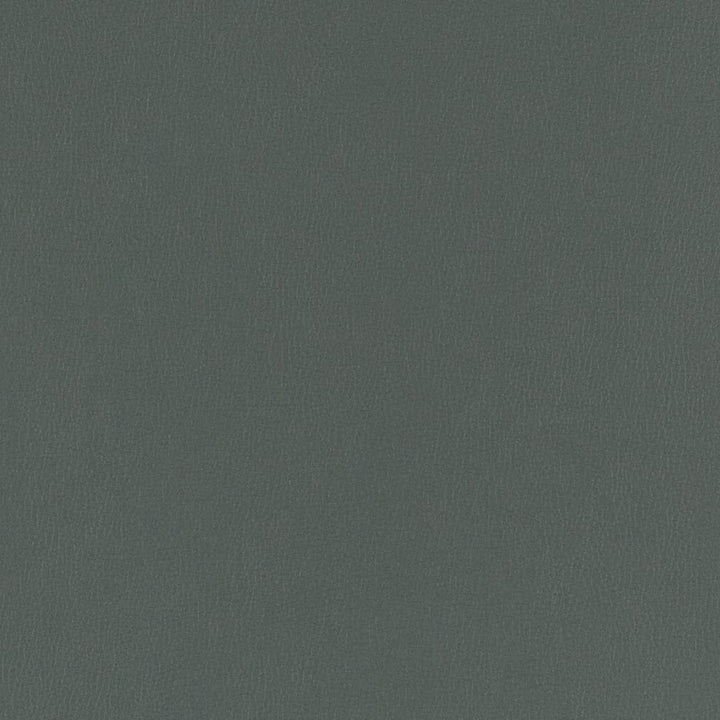 V802 Aegean by Charlotte Designer Fabric Value Vinyl III 22oz, Face: 100% Polyurethane, Back: 70% Polyester, 30% Cotton Asia Exceeds 40,0000 Wyzenbeek Rubs (Heavy Duty) </p><p>Repeat: No Repeat 54 Inches - Swanky Fabrics -