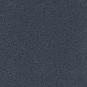 V803 Navy by Charlotte Designer Fabric