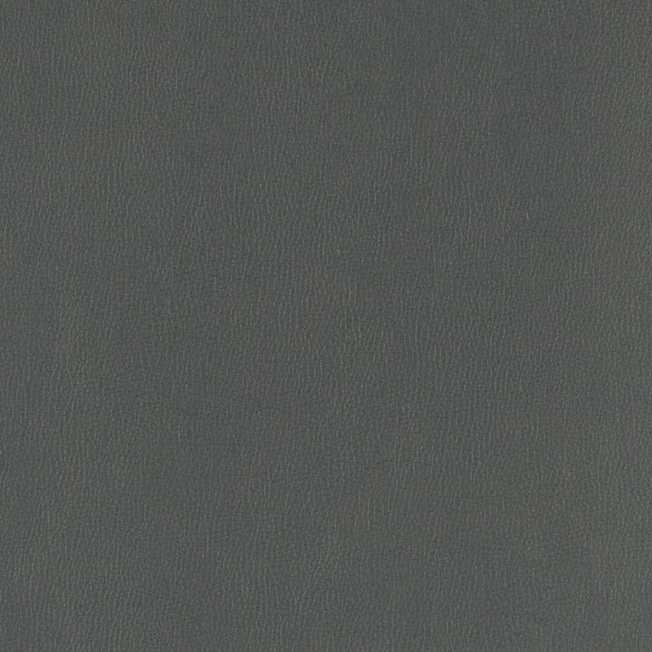 V805 Coal by Charlotte Designer Fabric Value Vinyl III 22oz, Face: 100% Polyurethane, Back: 70% Polyester, 30% Cotton Asia Exceeds 40,0000 Wyzenbeek Rubs (Heavy Duty) </p><p>Repeat: No Repeat 54 Inches - Swanky Fabrics -