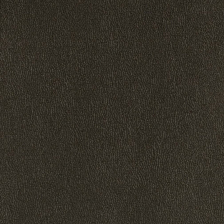 V806 Onyx by Charlotte Designer Fabric Value Vinyl III 22oz, Face: 100% Polyurethane, Back: 70% Polyester, 30% Cotton Asia Exceeds 40,0000 Wyzenbeek Rubs (Heavy Duty) </p><p>Repeat: No Repeat 54 Inches - Swanky Fabrics -