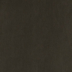 V806 Onyx by Charlotte Designer Fabric