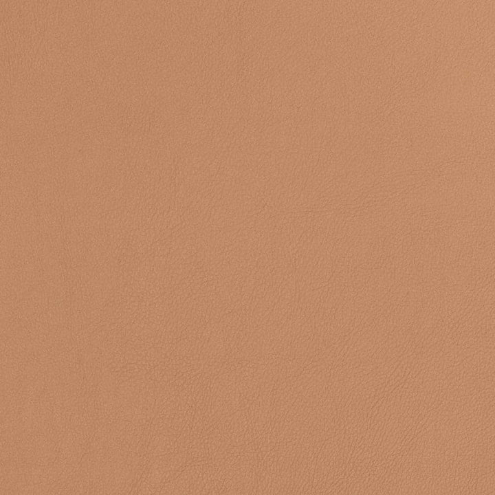 V810 by Charlotte Designer Fabric Breathables V 100% Polyurethane, 26oz. Asia Exceeds 2,000,000 Wyzenbeek Rubs (Heavy Duty) No Repeat 54 Inches - Swanky Fabrics -